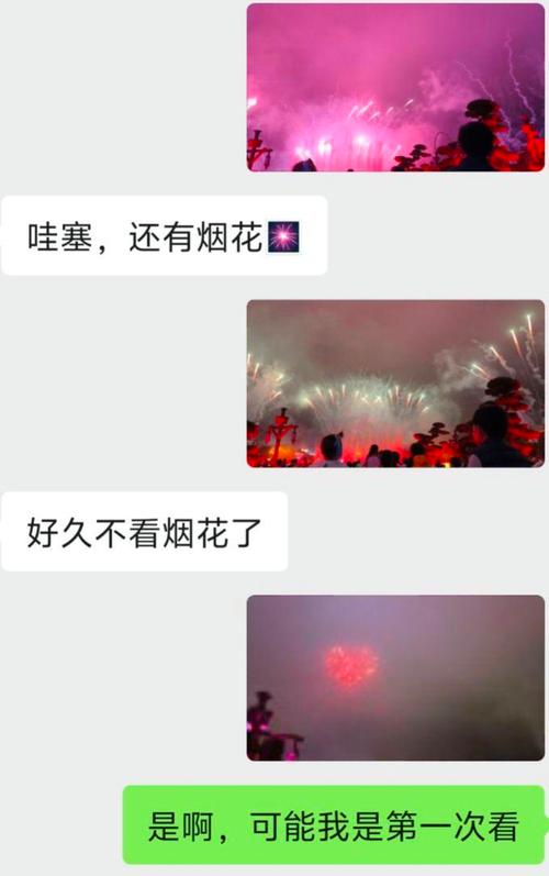 聊天记录看窗外烟花(聊天记录放烟花)